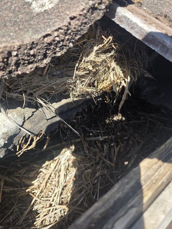 IMG-20260430-WA0005